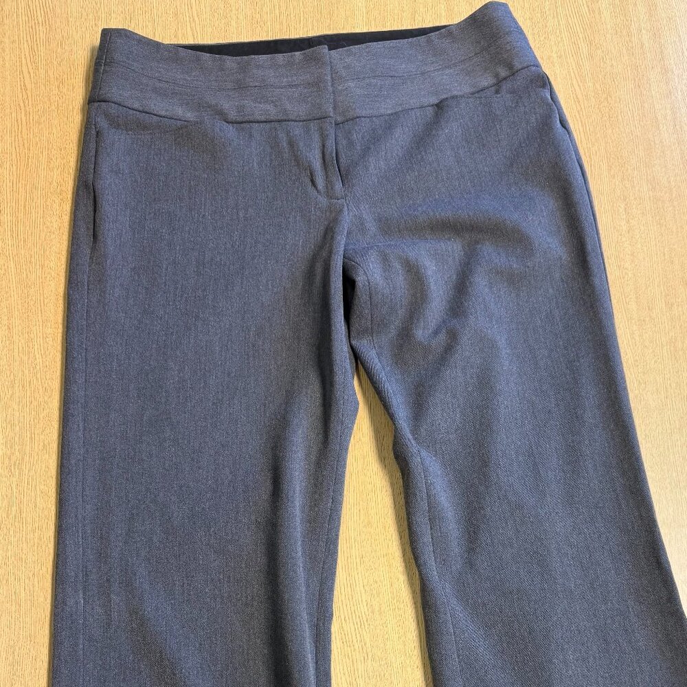 Express Dress Pants